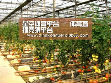 种植基地二