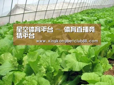 种植基地一