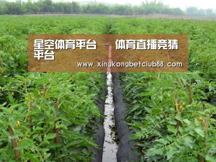 种植基地三