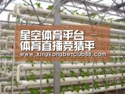 环境展示六