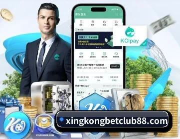 星空体育app APP