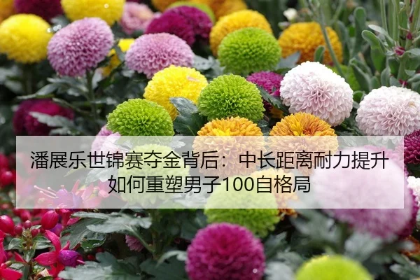 潘展乐世锦赛夺金背后:中长距离耐力提升如何重塑男子100自格局