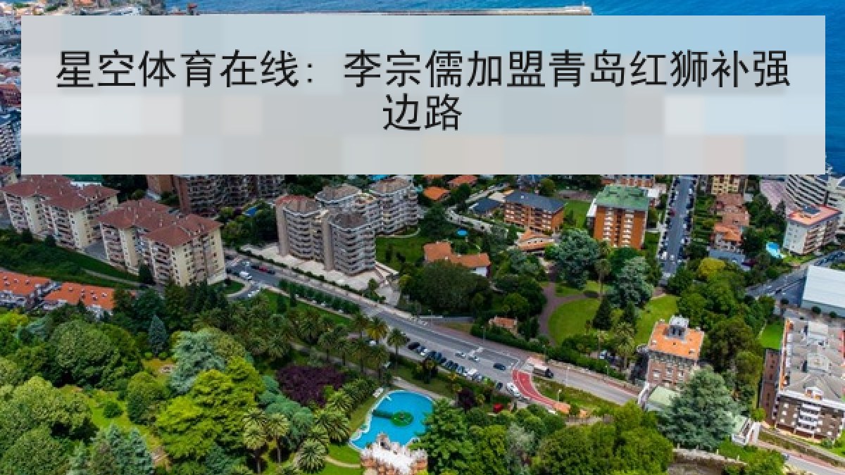 星空体育在线: 李宗儒加盟青岛红狮补强边路