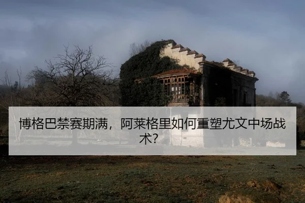 bo-ge-ba-jin-sai-qi-man-a-lai-ge-li-ru-he-zhong-su-you-wen-zhong-chang-zhan-shu-2-955.jpg