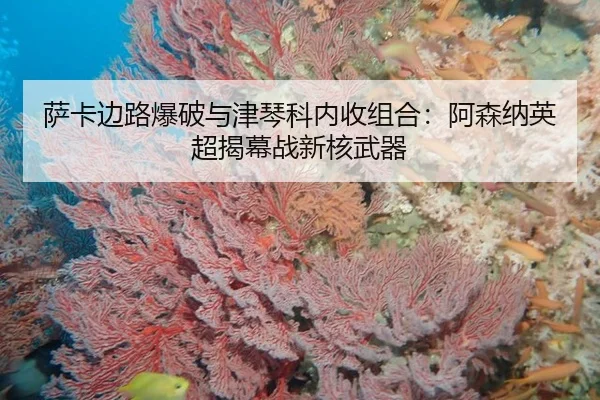 萨卡边路爆破与津琴科内收组合：阿森纳英超揭幕战新核武器
