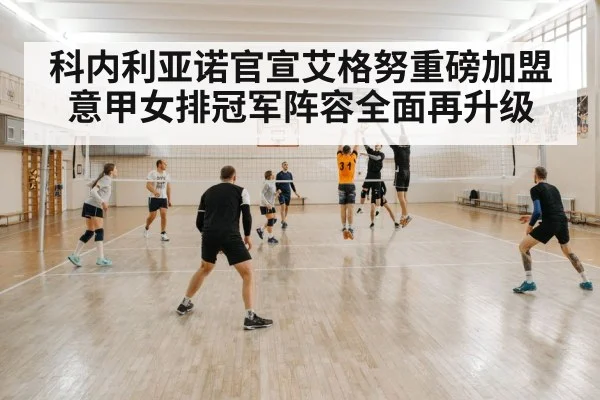volleyball court action