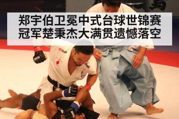 郑宇伯卫冕中式台球世锦赛冠军楚秉杰大满贯遗憾落空