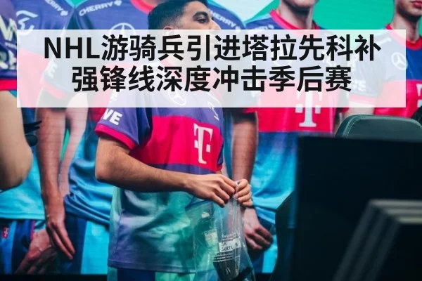 NHL游骑兵引进塔拉先科补强锋线深度冲击季后赛