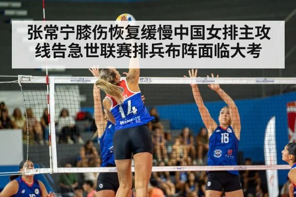 张常宁膝伤恢复缓慢中国女排主攻线告急世联赛排兵布阵面临大考