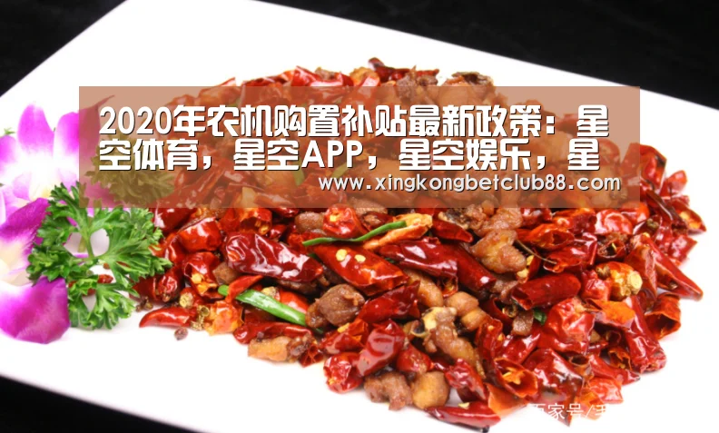 星空体育，星空APP，星空娱乐，星空直播
